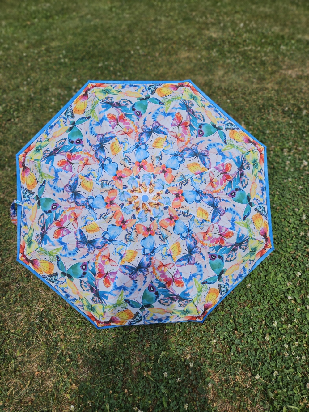 Brighton Vintage Colorful Butterfly Print Automatic Umbrella Whimsical
